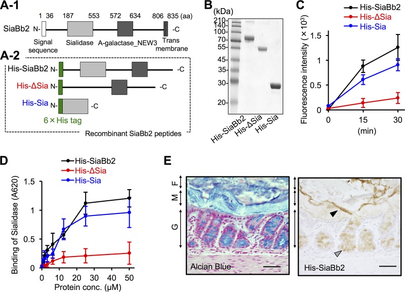 FIG 3 