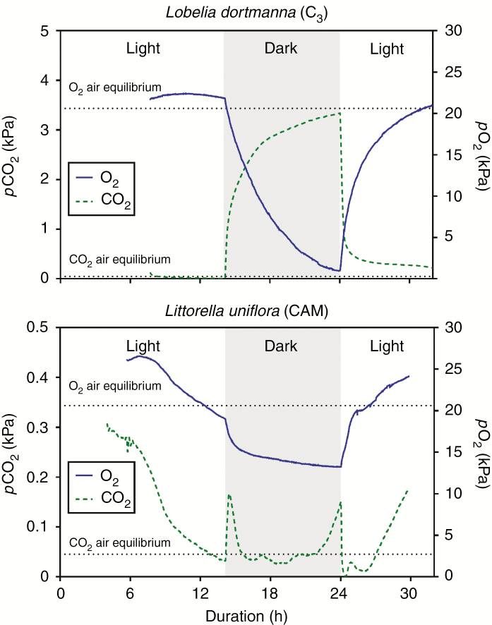 Fig. 2.