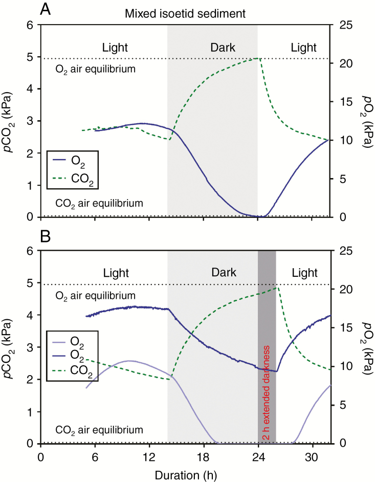 Fig. 5.