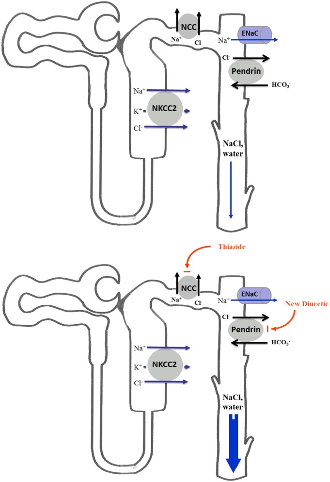 Fig. 5.