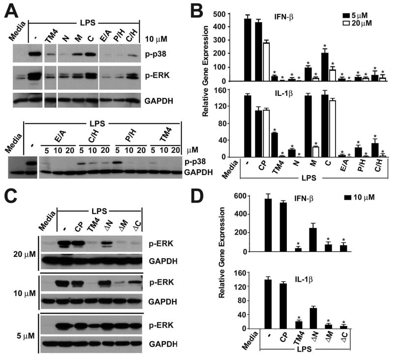 FIGURE 4