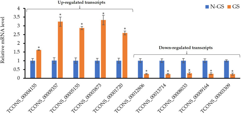 FIGURE 6