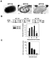 FIG. 1.