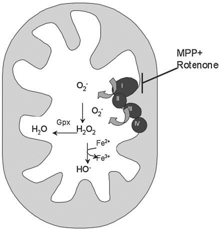 FIG. 1.