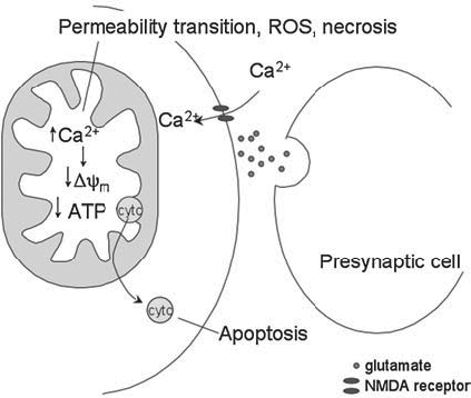 FIG. 2.