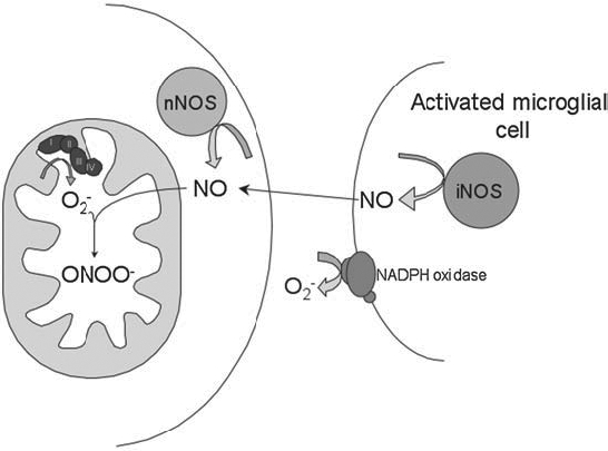 FIG. 3.