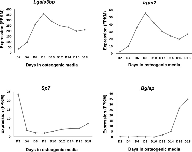 Fig 4