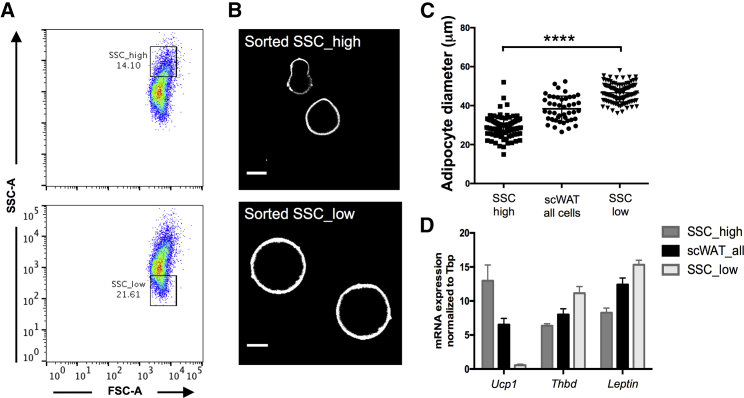 Figure 4