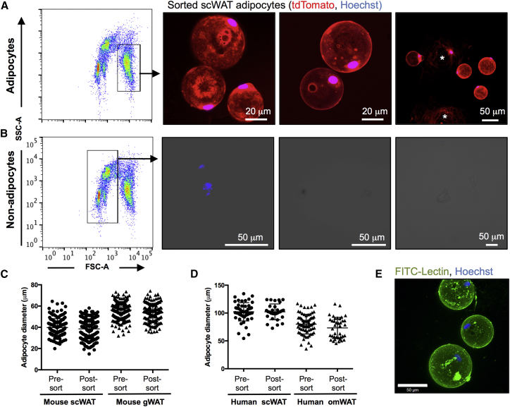 Figure 3