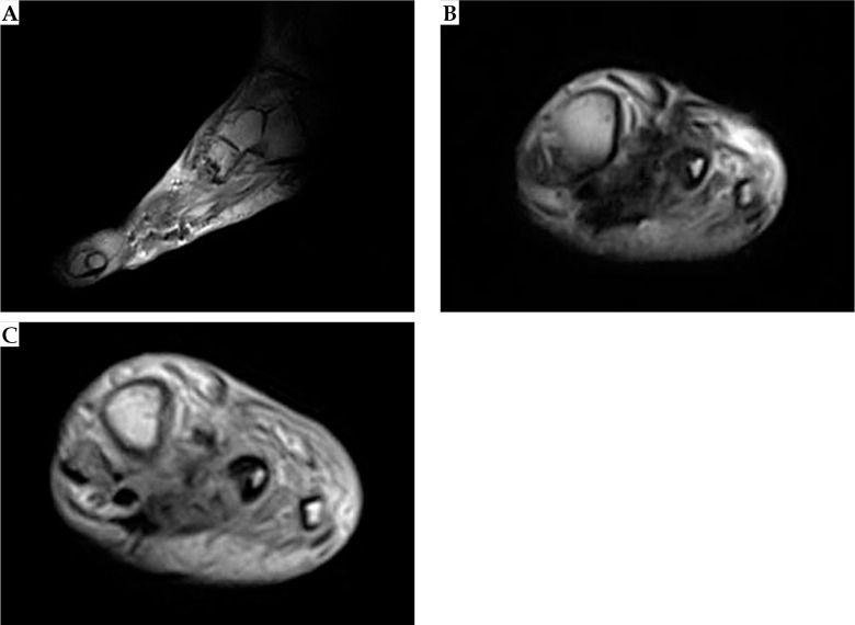 Fig. 6