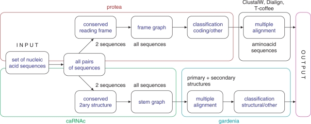 Figure 1.