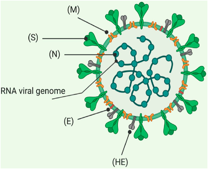 Fig. 2