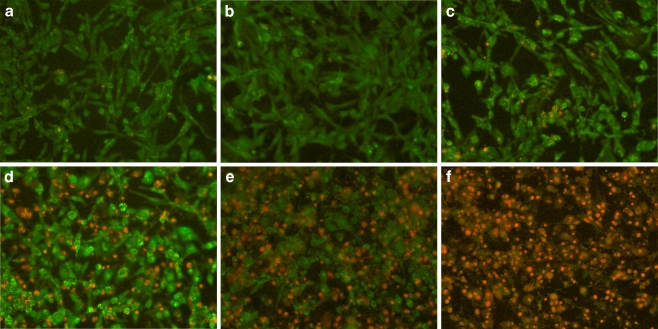 Fig. 12