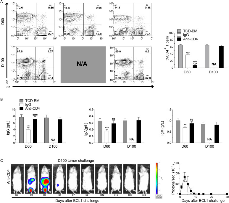 Figure 4