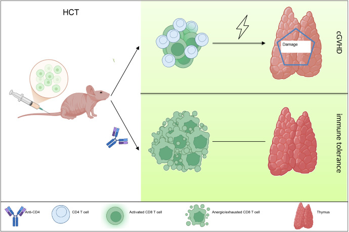 Figure 5