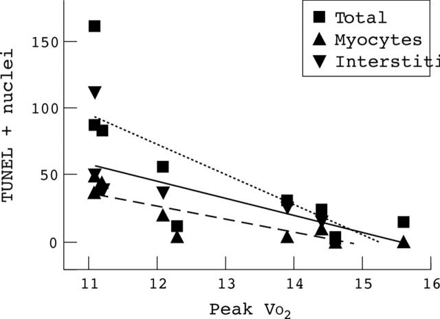 Figure 4  