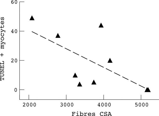 Figure 3  