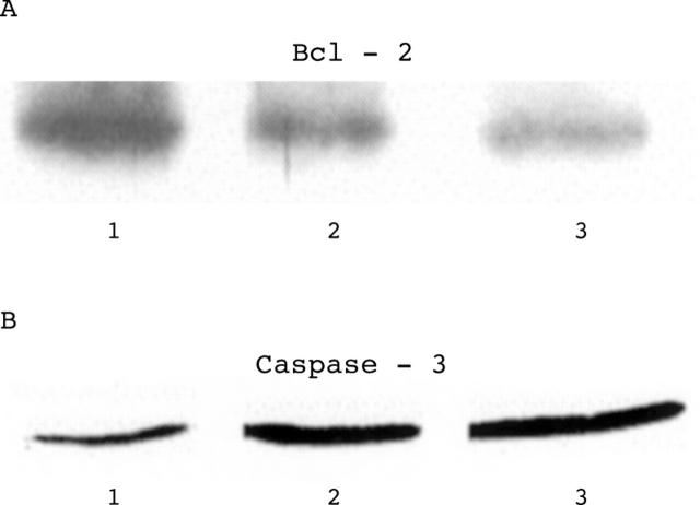 Figure 2  