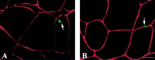 Figure 1  