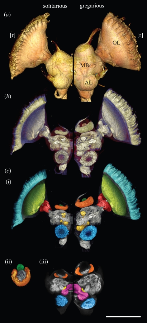 Figure 1.