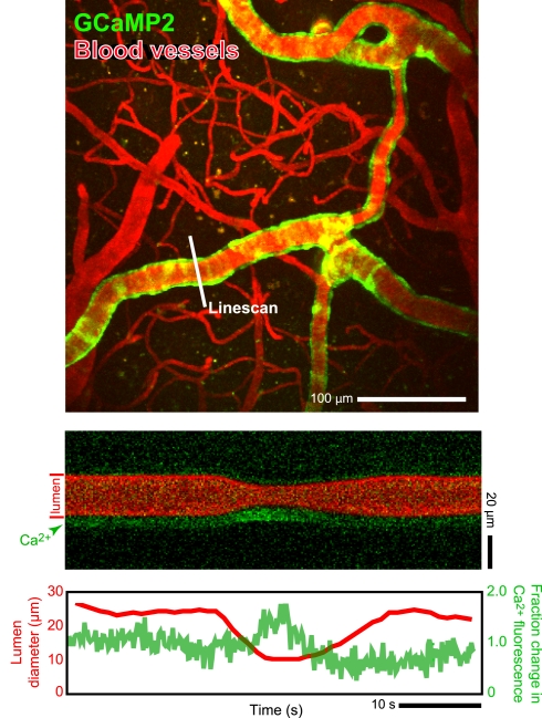 Figure 5