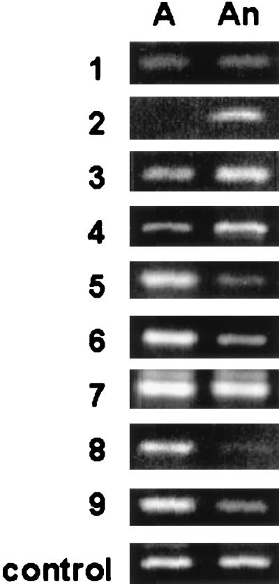 FIG. 5