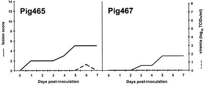 FIG. 5.