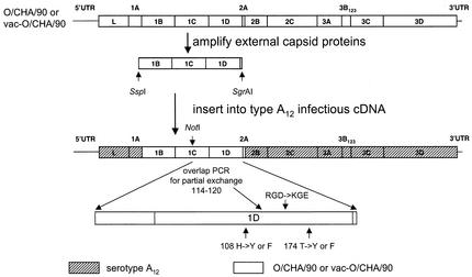 FIG. 1.