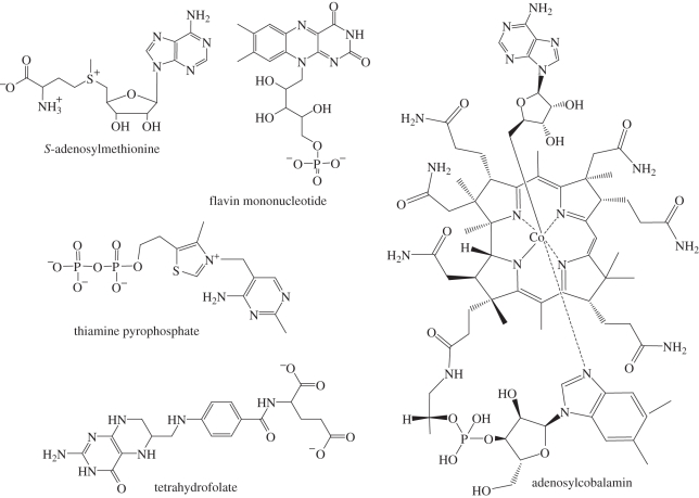 Figure 3.