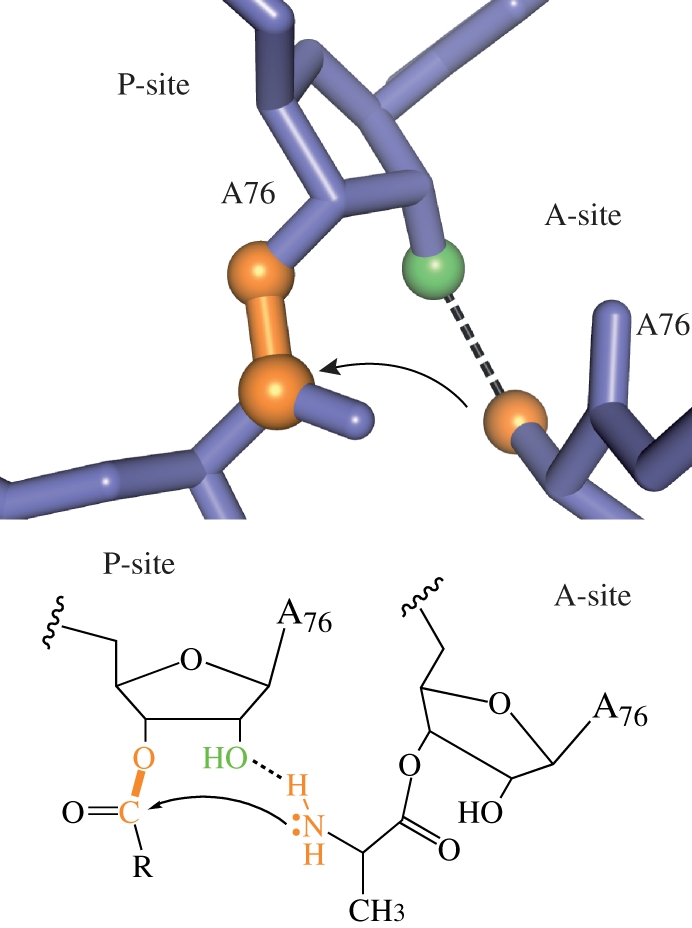 Figure 4.