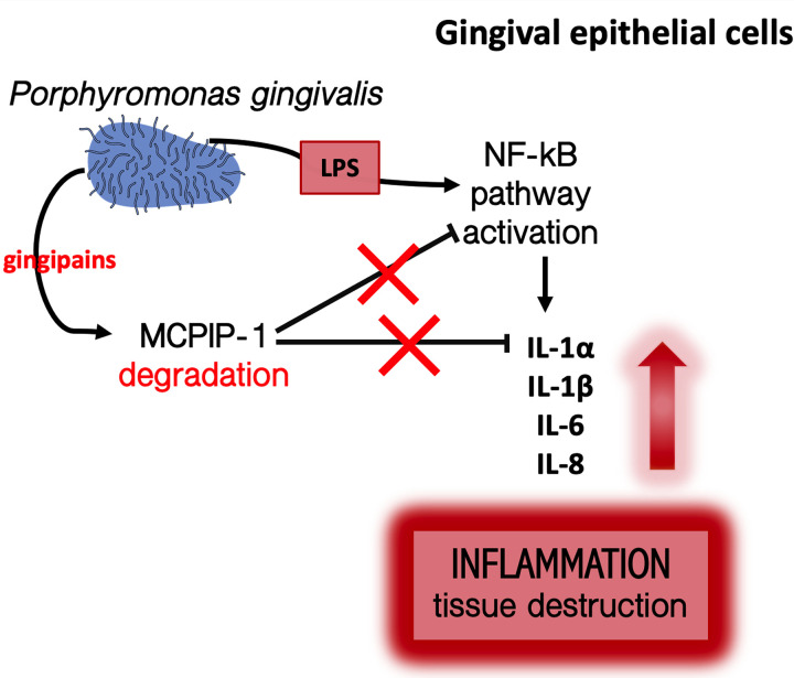 FIG 7