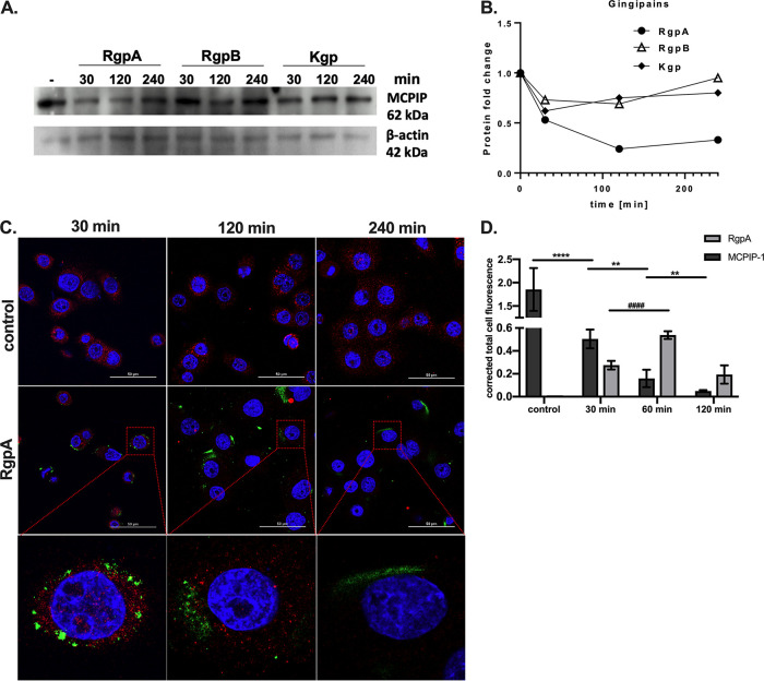 FIG 3