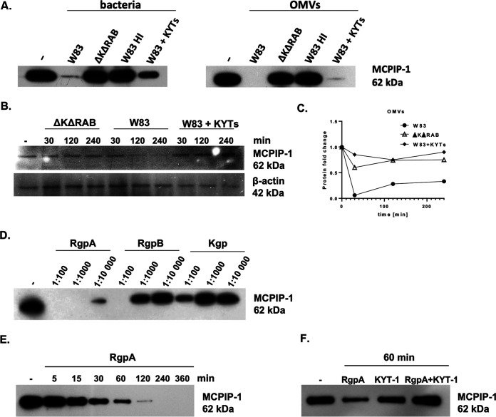 FIG 2