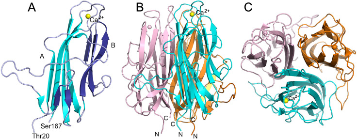 Fig 1