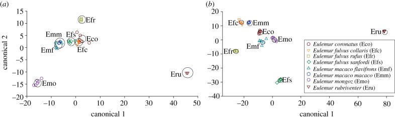 Figure 7.