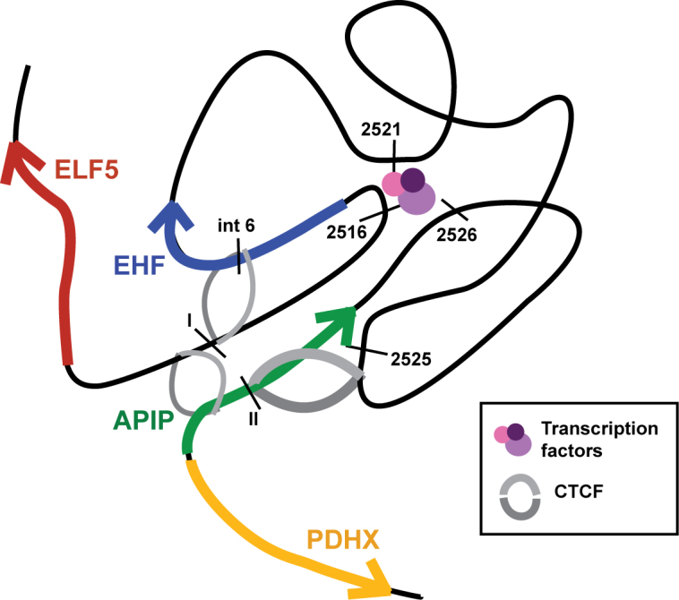 Figure 6.