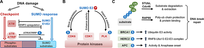 Figure 3: