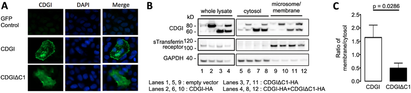 Figure 2: