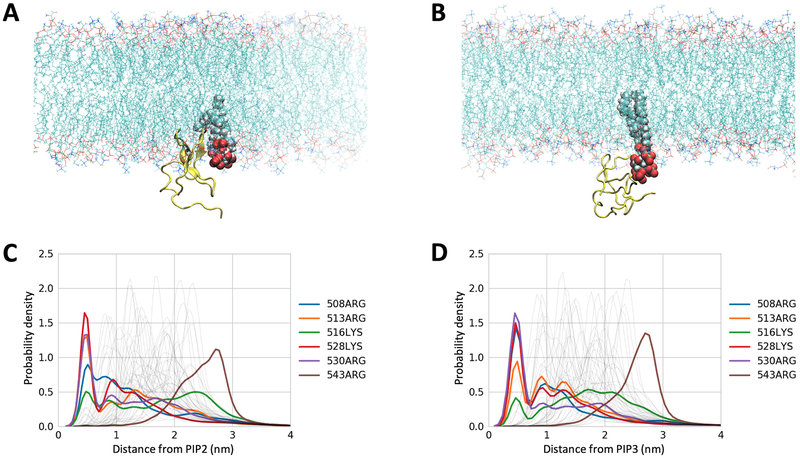 Figure 4: