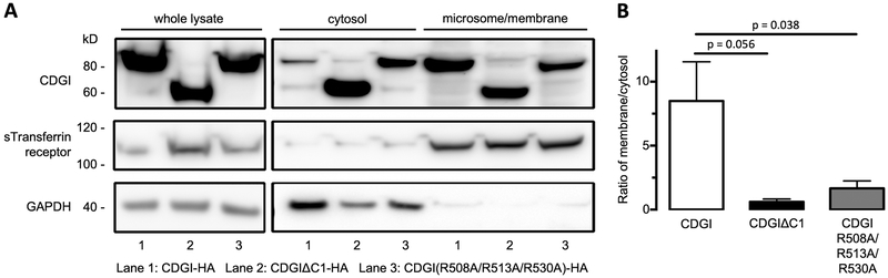 Figure 6: