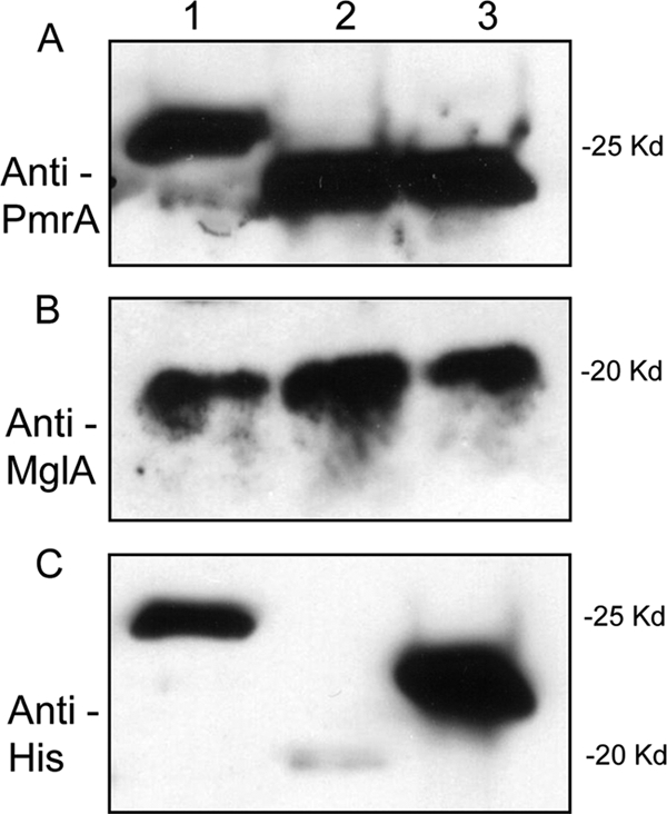 FIG. 7.