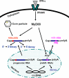 FIG. 10.