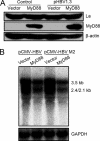 FIG. 5.