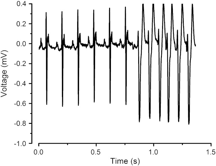 Fig. 2