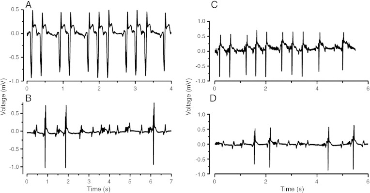 Fig. 4