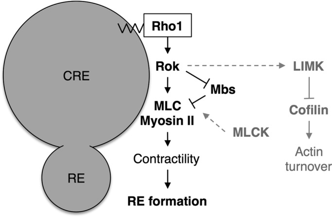 FIGURE 7: