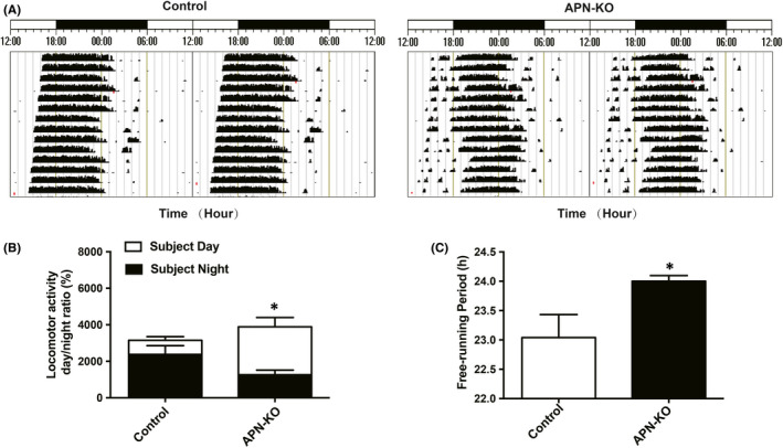 FIGURE 3