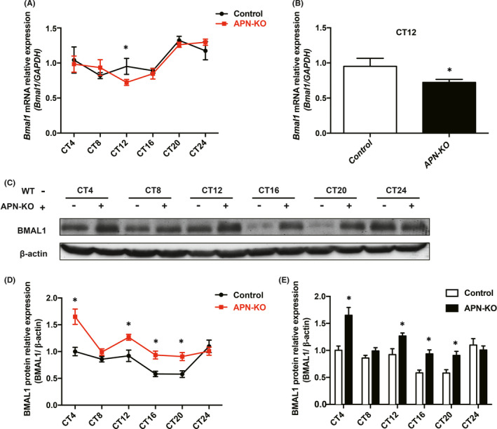 FIGURE 4