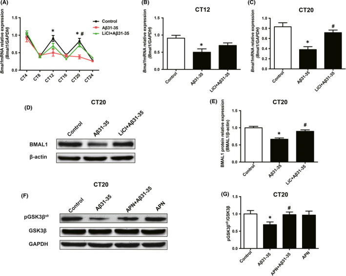 FIGURE 6