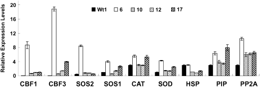 Figure 6